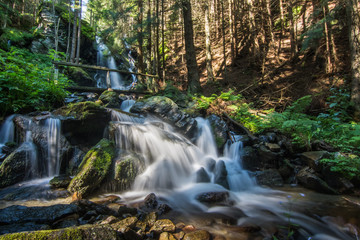 wasserfall mit bruecke im wald