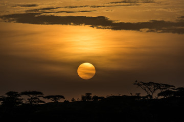 Atardecer &Aacute;frica
