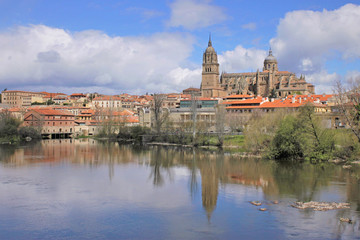 Obraz premium View of the new cathedral of Salamanca, Spain, from the Tormes river.