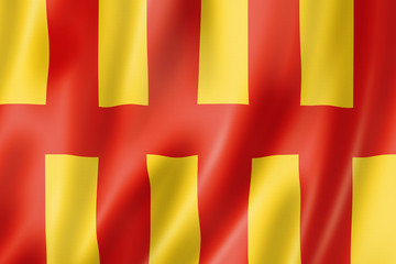 Fototapeta premium Northumberland County flag, UK