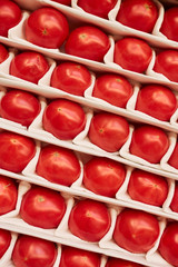 Background image of fresh ripe tomatoes in row ready for sale at stand in farmers market, copy space