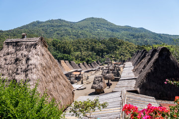 Aldeas indigenas, Flores, Indonesia