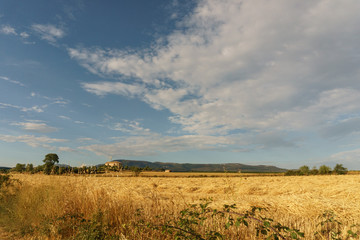 Fototapeta premium natural landscape in sierra de guara