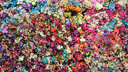 Flower wall background, beatiful and colorful flower texture 