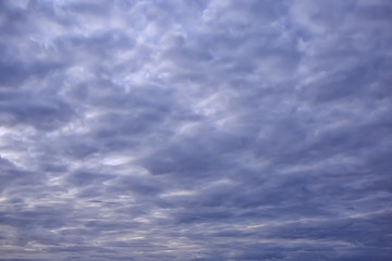 Fototapeta premium clouds background gloomy / gray storm background, sky top clouds