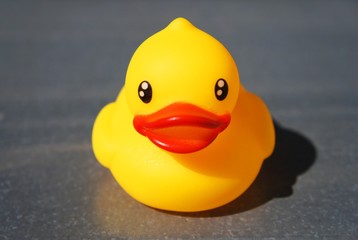 Yellow rubber duck isolated on gray background