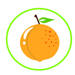 sweet ripe mango illustration. healthy  vegan fruit