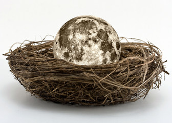 concept - the moon in the nest