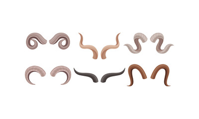Horns of Different Animals with Ram and Deer Antlers Vector Set