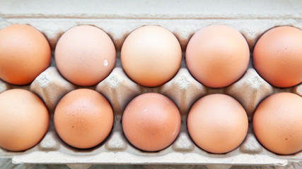 Organic raw chicken eggs in egg box