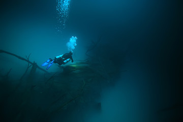 cenote angelita, mexico, cave diving, extreme adventure underwater, landscape under water fog