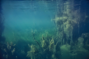 underwater green landscape / nature underwater eco ecology lake, wild diving