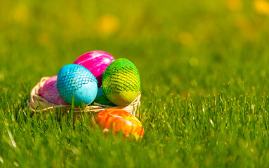sunny, bright, vibrant Easter background, hand-painted eggs on the background of grass and spring flowers