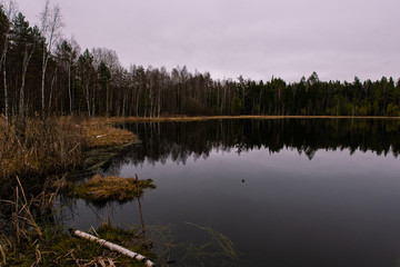 Fototapeta na wymiar Forest lake