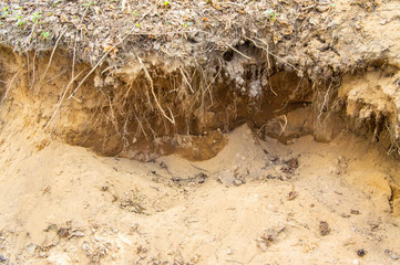 Sand quarry in the forest. Pit