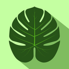 Philodendron leave isolated on green background. Vector illustration.
