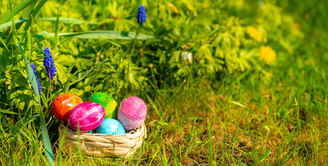 sunny, bright, vibrant Easter background, hand-painted eggs on the background of grass and spring flowers