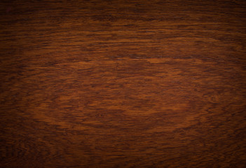 background and texture of Macro Ormosia wood