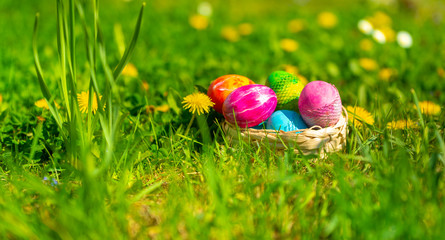 sunny, bright, vibrant Easter background, hand-painted eggs on the background of grass and spring flowers