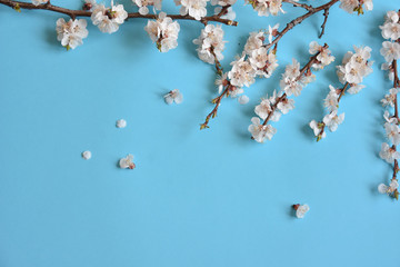 background with flowers