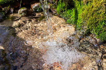 Transparent water flows from a spring in the wild close-up. Macro photo.