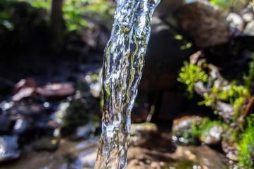 Transparent water flows from a spring in the wild close-up. Macro photo.