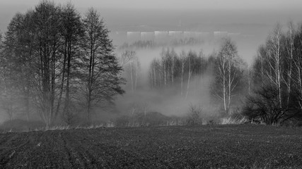mgła nad Śląskiem