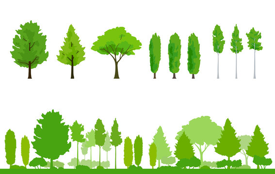 5 226 件の最適な けやきの葉 画像 ストック写真 ベクター Adobe Stock