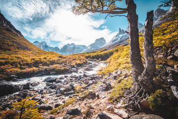 Torres del Paine landscape