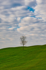 Obraz premium view in a beatiful landscape with blue sky