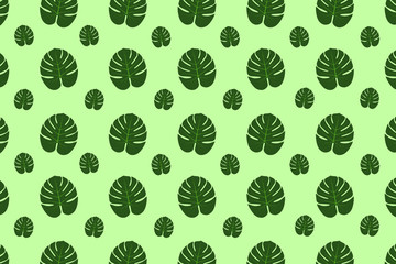 Philodendron leaves isolated on green background. Vector illustration.