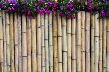 Soft Focus,Bamboo fence background that was made to decorate the garden to look naturally beautiful from the patterns and stems of bamboo that is unique.
Copy space on bamboo wall background