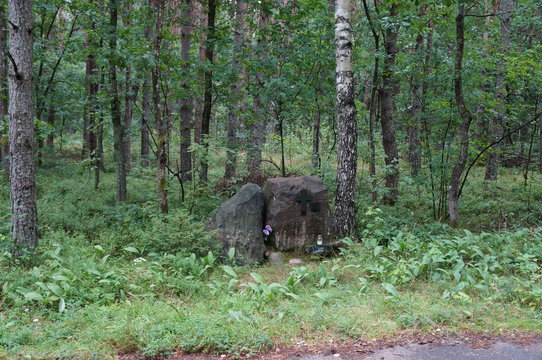 1067 Images – Browse 150 Stock Photos, Vectors, and Video | Adobe Stock