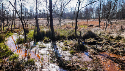 peat bog national nature reserve