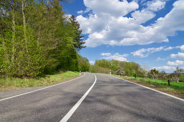 Naklejka premium grey curvy street leading into fresh green spring forest and bright blue sky with a few clouds no people
