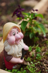 Cute garden dwarf. Garden decoration.