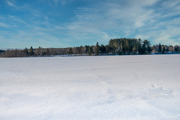 snow on lake in winter,  frozen water Minnesota winter. Shoreline trees
