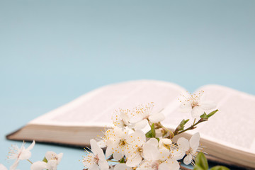 Spring flowers against the backdrop of an open bible. A symbol of awakening and new life.