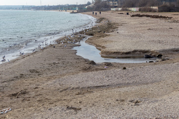 Dirty smelly sewage flows into sea on the sand of an open city beach. Ecological problem of...