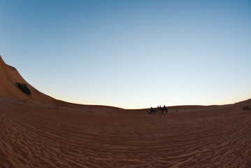 Caravana in Sahara