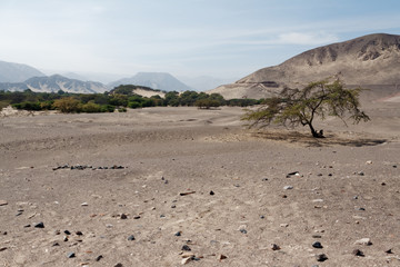 Cmentarz Chauchilla w pobliżu Nazca w Peru