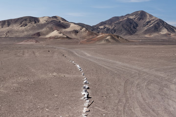 Fototapeta na wymiar Cmentarz Chauchilla w pobliżu Nazca w Peru