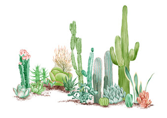 watercolor illustration of some desert plants