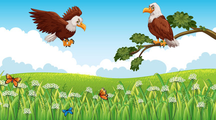 Nature scene background with two eagles flying in garden