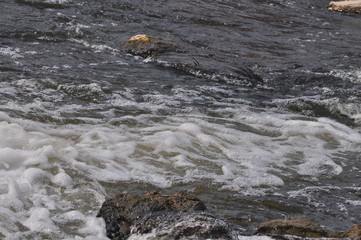 water flowing over rocks