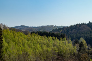 View over hilly landscape with trees and forests in spring