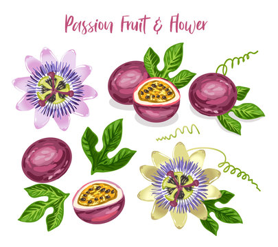 Passion fruit and flower set