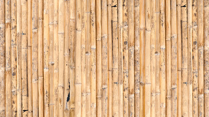 bamboo fence or wall texture background