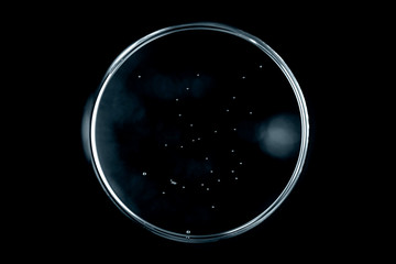 Abstract circle on black background. Sphere in the dark.