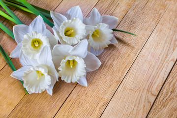 Fototapeta na wymiar Beautiful flowers of white daffodils on wooden background